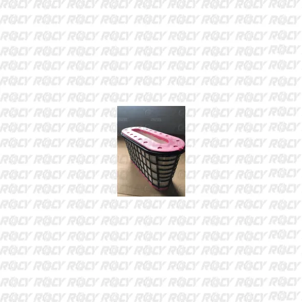 R 01 04-5031